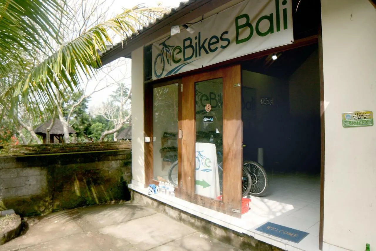 Artist Eco Villa In Ubud  Indonesia